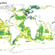 Global tracked fishing efforts (2012-2016)